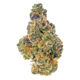DC Confidential