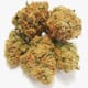 Purple Alien Dawg