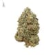 G13