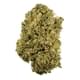 Durban poison
