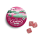 Camino - Hybrid - Sour Watermelon Spritz - 20 x 5mg Edible Gummies