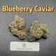 Blueberry Caviar---Exotics