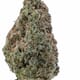 Gorilla glue