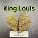 King Louis---Exotics