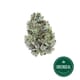 COOKIE CAKE WHOLE FLOWER - 3.5