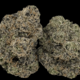 All Gas OG (AAA Designer)