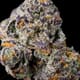GRAPE GASOLINE