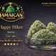 Happy Hiker