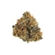Blue Iguana (Top-Shelf)