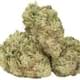Bruce Banner