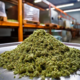 Indoor Exotic Shake Seeds – Premium Cannabis Genetics