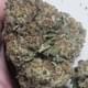 Pink Rozay. (TOP SHELF)