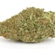 Lemon Head OG