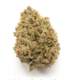 Aurora Indica