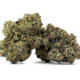 DEALR - Craft El Changuito 7g >I