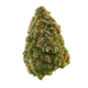 Buddah Kush (Top Shelf)