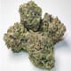 White Runtz ( Top shelf )