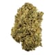 Girl Scout Cookies