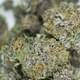 FORBIDDEN FRUIT Indica (PREMIUM)