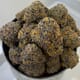 English Breakfast | Green Dawg Cultivators