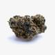 Cataract Kush DESIGNER