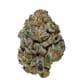 Kali 47 (Exotic A+)