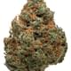 Durban poison (AAA+)