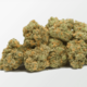 Blue Dream #1