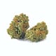 Grease Monkey Hybrid | Top Shelf Flower