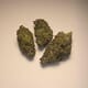 Grease Monkey (PREMIUM)