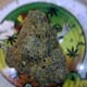 EXOTIC-SOUR TANGIE