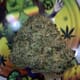 EXOTIC. CRUNCHBERRIES