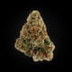 Girl Scout Cookies