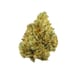 Tangie (TOP SHELF)