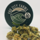 Fog City Farms - Kush Mints
