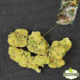 Gorilla Glue