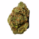 Grape Stomper (Hybrid) by Green Man