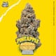 High 90's - Pineapple Poundcake