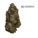 Jbuds - Craft Genetic Funk 1x3.5g >I