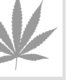 Juicy Hemp Wraps Lemon Cake 2 pack