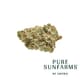 Kush God 7g