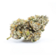 Lava Cake (Indica) by Green Man