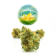 Lemon Cap | Sativa