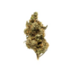 (MED) Redbud Roots | Sour Giesel