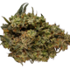 Orchid - CBD Runtz 1x3.5g >S