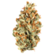 Red Headed Stranger