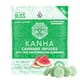 Watermelon 20:1 CBD Gummies