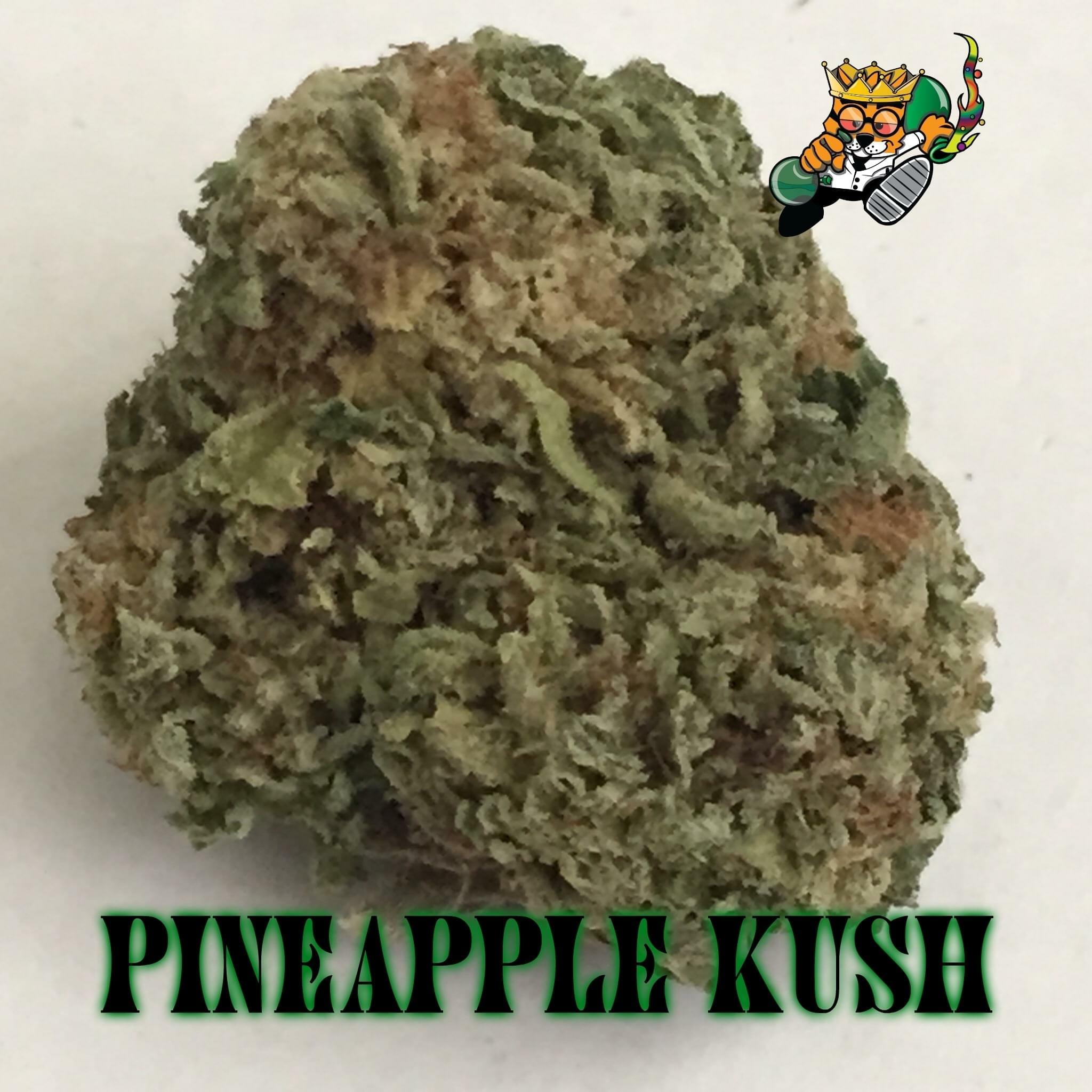 Pineapple Kush Strain Information & Reviews Where's Weed