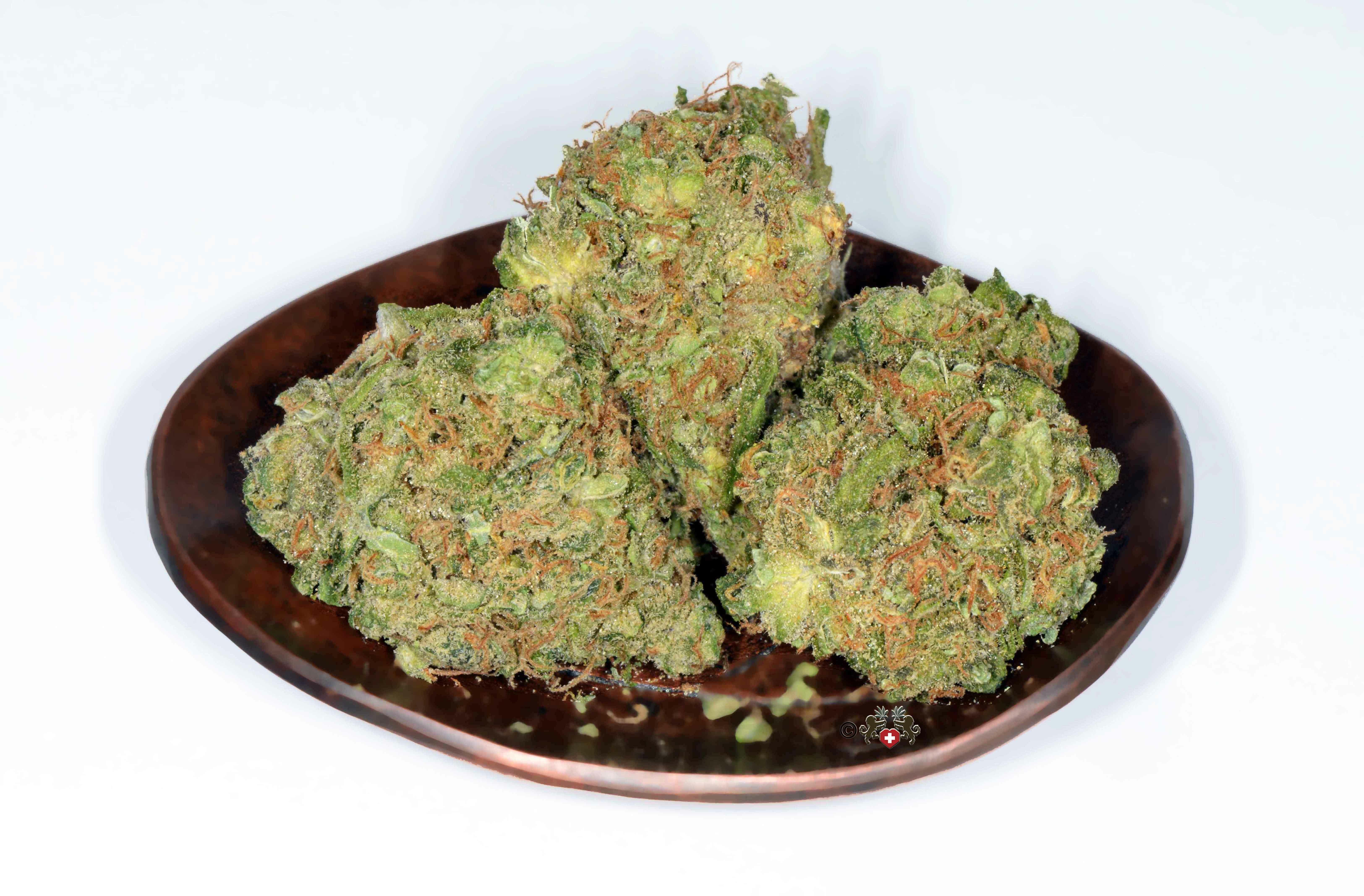Tangerine Strain Information & Reviews Where's Weed