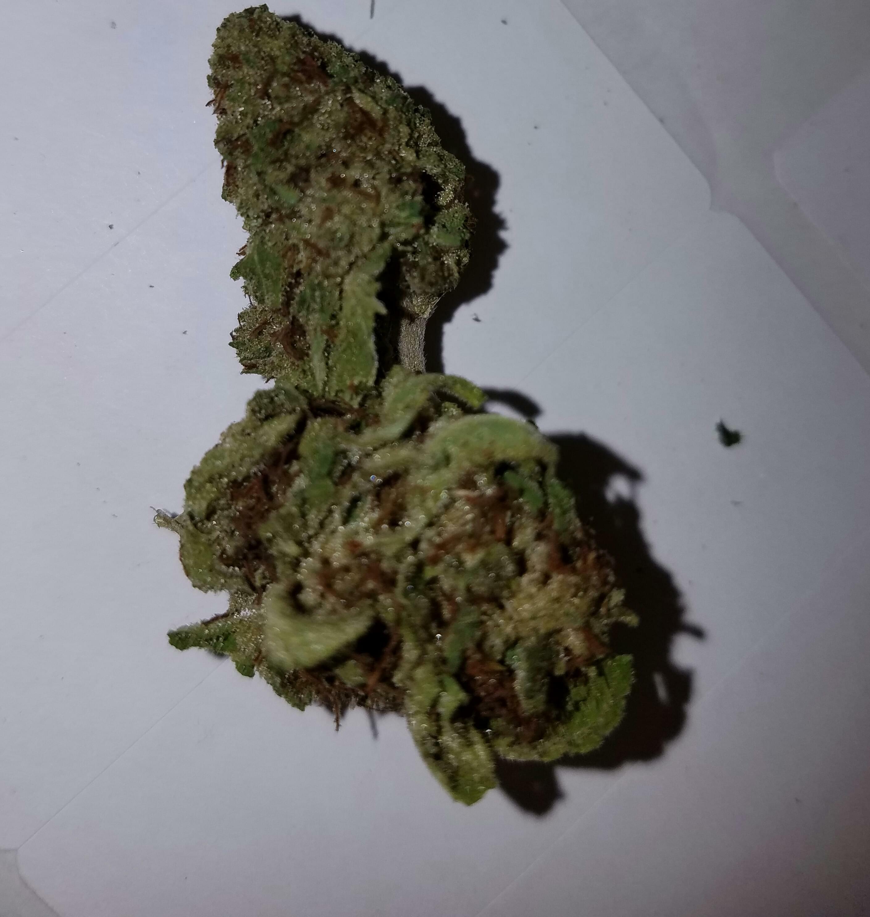 Cherry Og Strain Information & Reviews Where's Weed